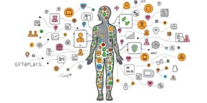 Tu historial al descubierto: Interpreta cada detalle